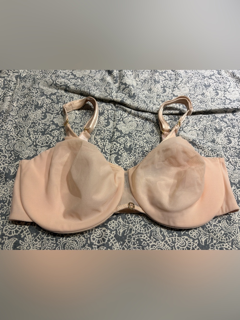 Chantelle nude mesh bra 34DD E